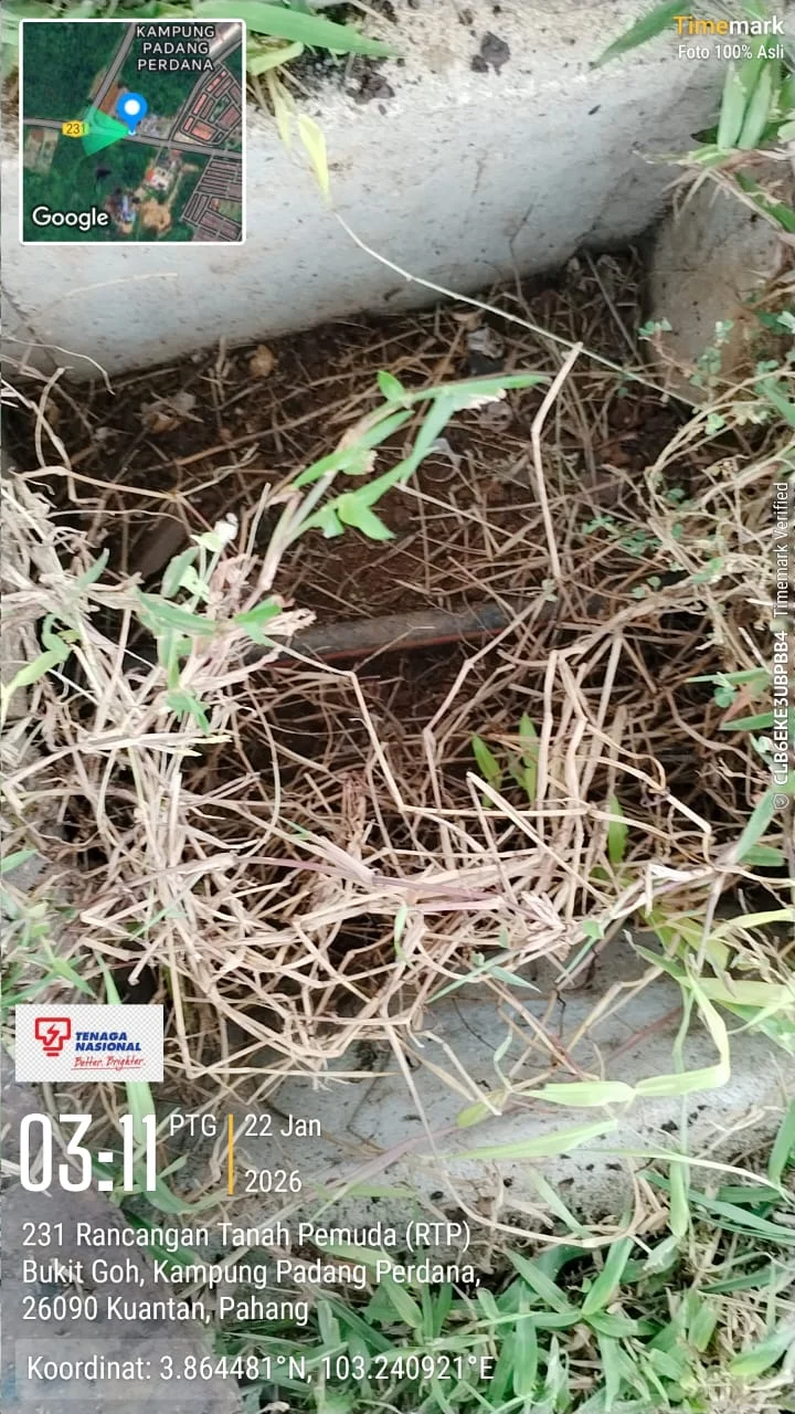 UMAP Activity - umap (7)